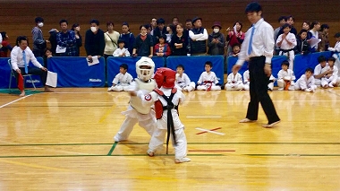 拳志道空手大会 （2016年11月20日）