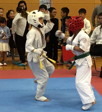 全日本拳剛会館空手道選手権大会（2016年11月20日）